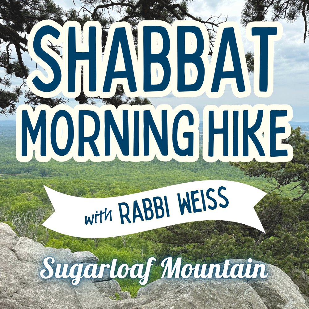 Shabbat Hike with Rabbi Weiss at Sugarloaf Mountain