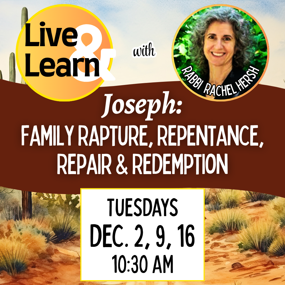 Live & Learn with Rabbi Rachel Hersh