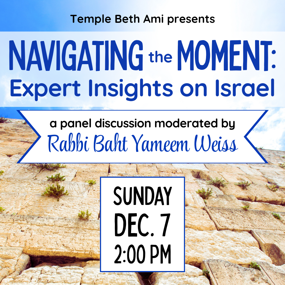 Navigating the Moment: Expert Insights on Israel