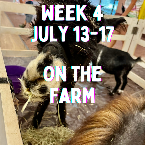 Gan Ami Summer Program