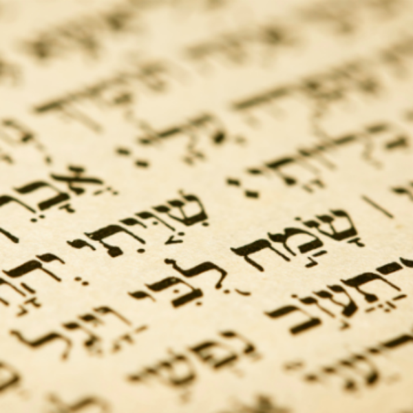 pasuk_torah_630x350
