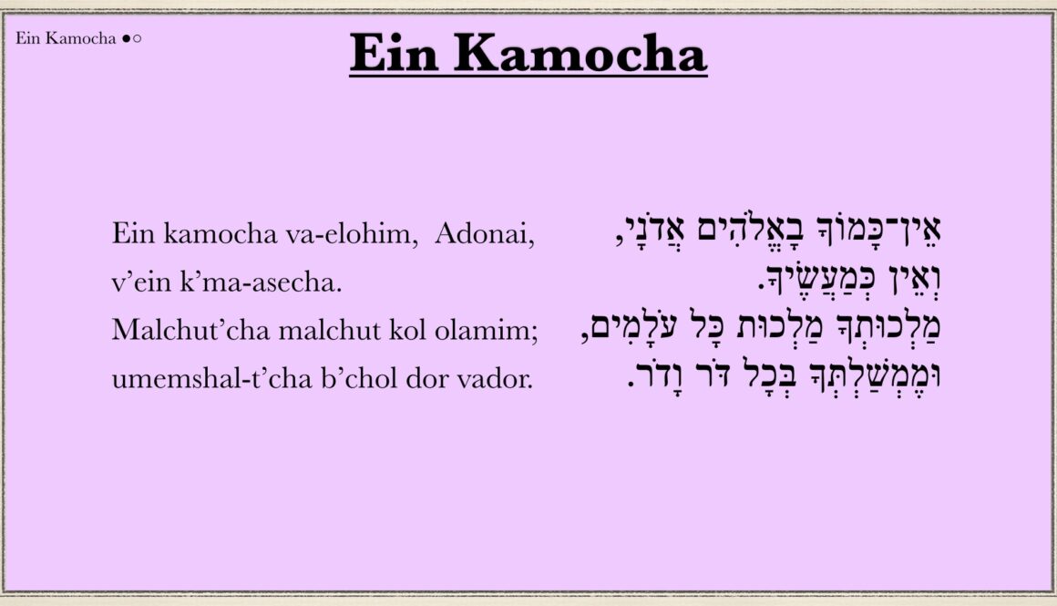 Ain Kamocha