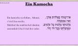 Ain Kamocha