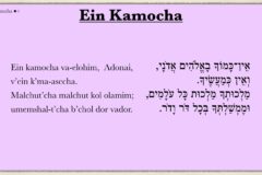 Ain Kamocha