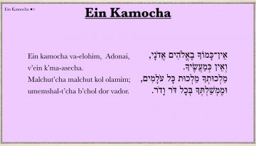 Ain Kamocha