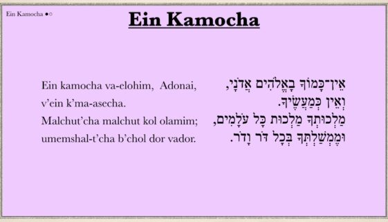 Ain Kamocha