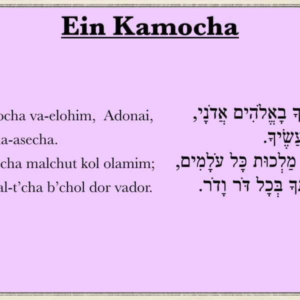 Ain Kamocha