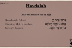 Havdalah Blessings