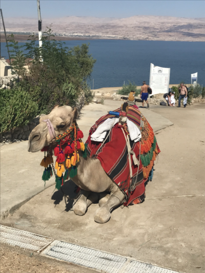 IsraelTrip8