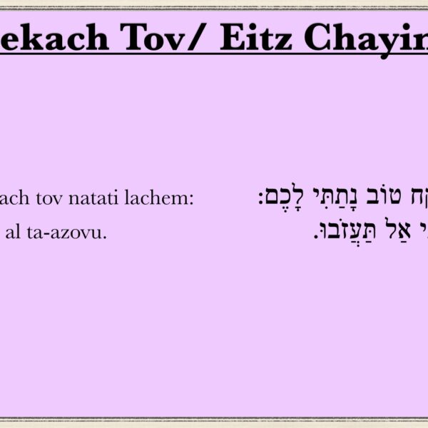 Ki Lekach Tov / Eitz Chayim Hi