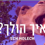 hebrew_slang