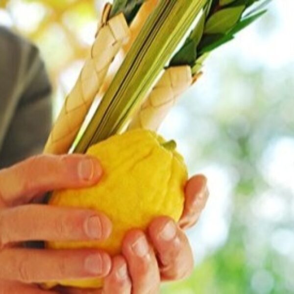 sukkot_400