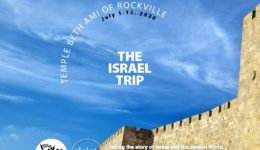 Beth Ami Trip to Israel – July 2020