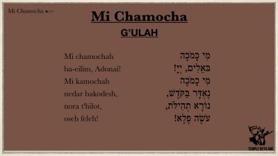 Mi Chamocha