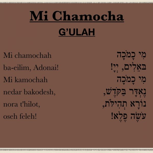 Mi Chamocha