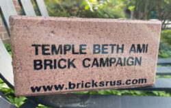 Brick campaign image