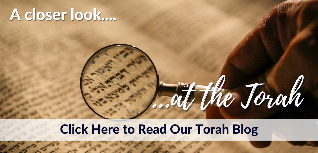 Torah Blog Header
