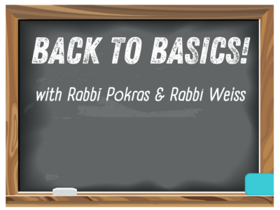 Back to Basics course<br/>Sunday mornings (10-11:30 am)<br/>Taught by Rabbi Pokras & Rabbi Weiss