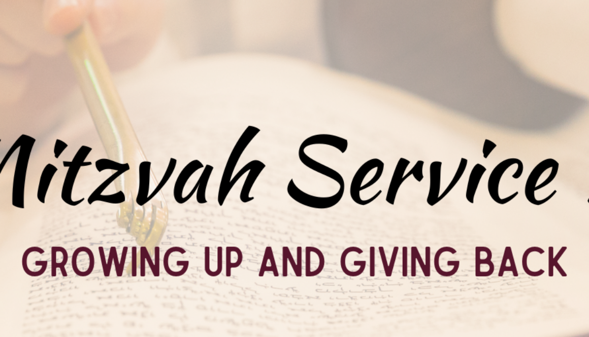 B'Nei Mitzvah Service Projects