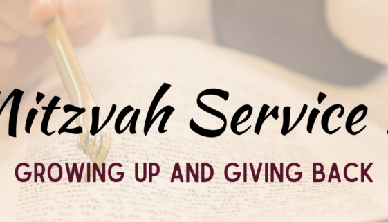 B'Nei Mitzvah Service Projects