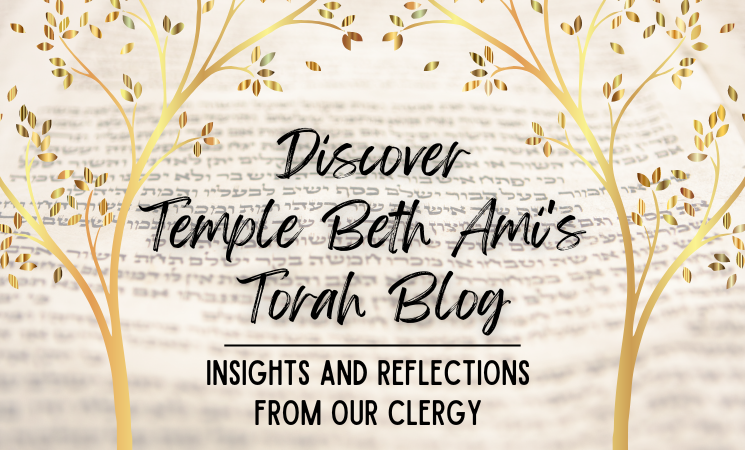 Torah Blog