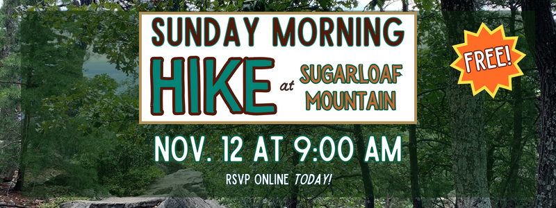 Community Sugarloaf Hike (800 x 300 px)