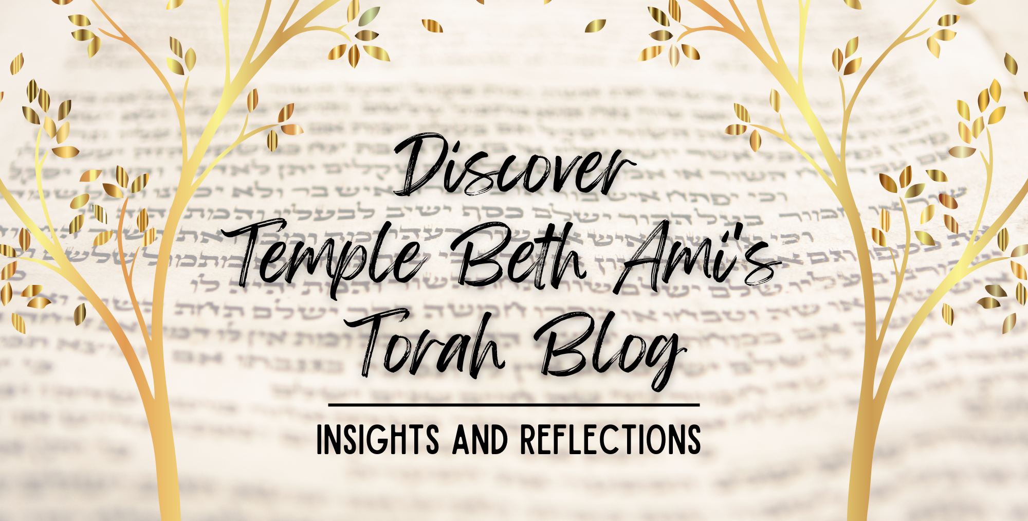 Torah Blog Banner