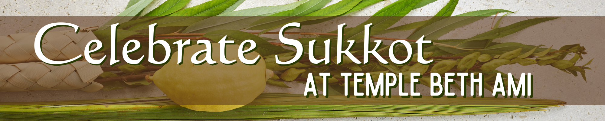 Sukkot at Temple Beth Ami