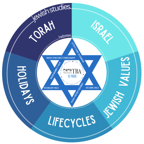 Curriculum circle - large