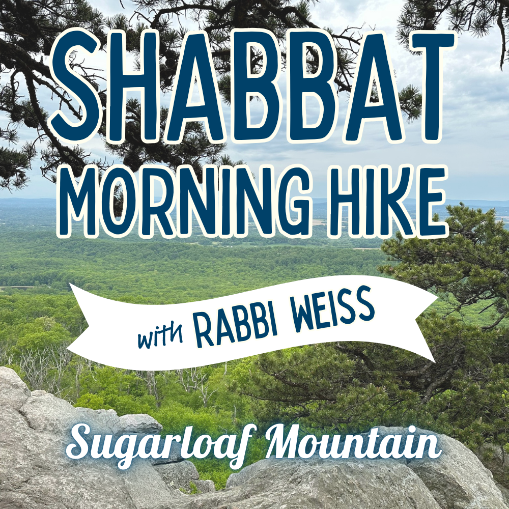 Outdoor Shabbat Hike