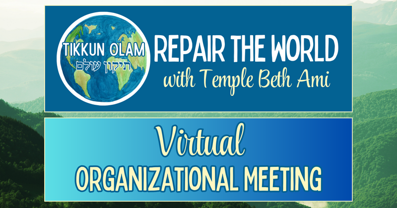 Virtual Meeting