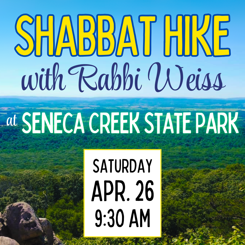 Outdoor Shabbat Hike with Rabbi Weiss